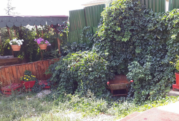 Eylül Kır Evi - Görsel 10