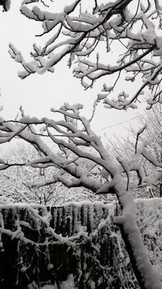 Eylül Kır Evi - Görsel 21