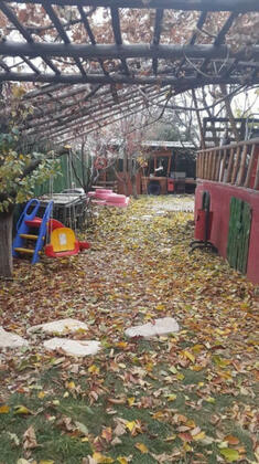 Eylül Kır Evi - Görsel 48