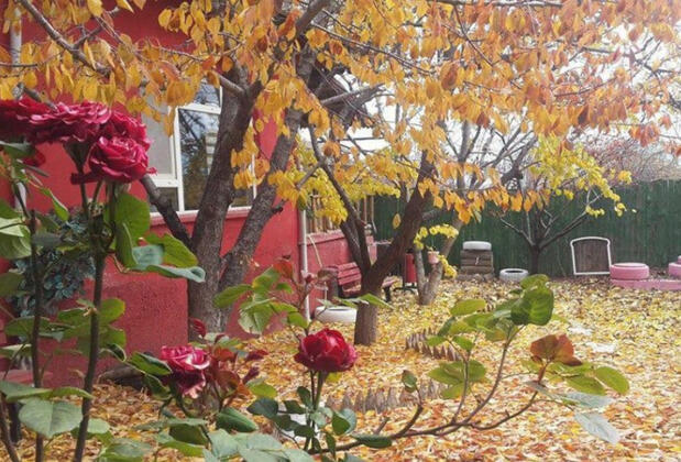 Eylül Kır Evi - Görsel 32