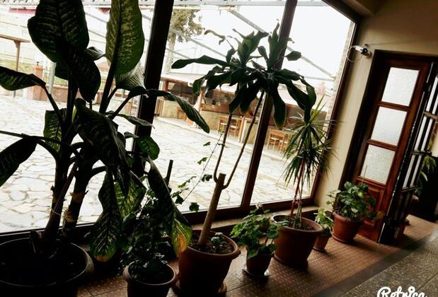 Aslanlar Grup Hotel - Görsel 34