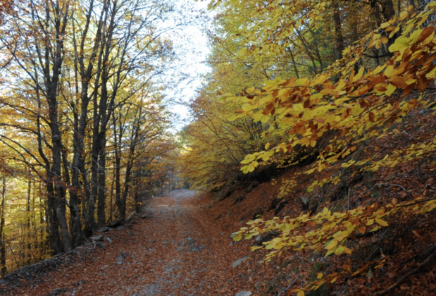 Aytaç Termal Otel - Görsel 5