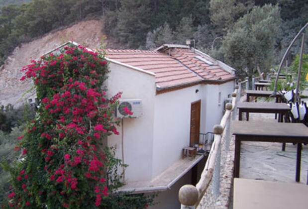 White House - Görsel 5