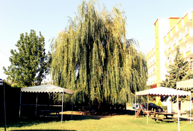 Aytaç Termal Otel - Görsel 13