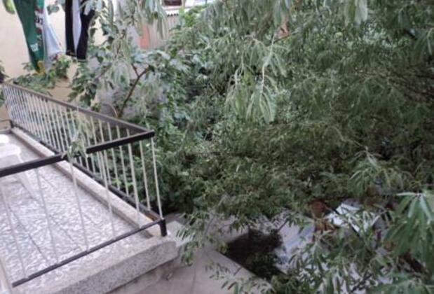 Gobi Pansiyon - Görsel 12