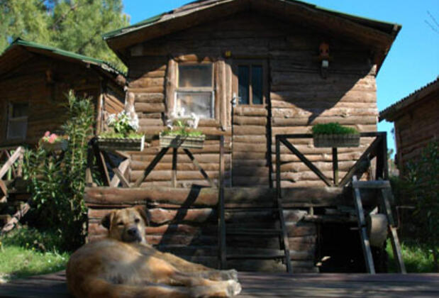 Woodyville Tree Houses and Cowboy City - Görsel 9