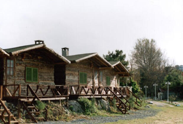 Woodyville Tree Houses and Cowboy City - Görsel 4