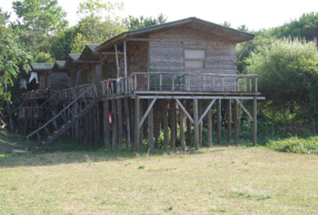 Woodyville Tree Houses and Cowboy City - Görsel 7