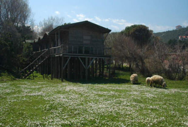 Woodyville Tree Houses and Cowboy City - Görsel 5