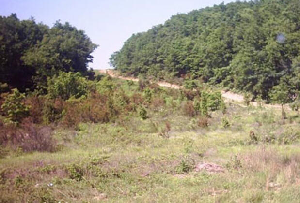 Vadi Motel - Görsel 18