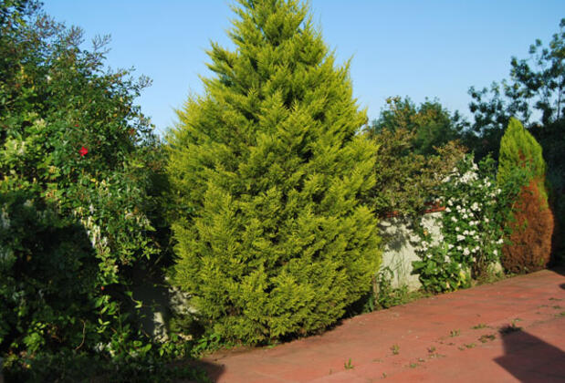 Villa Kayra - Görsel 35