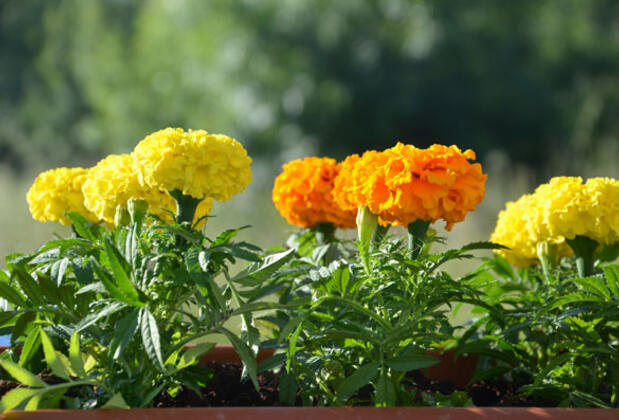 Villa Kayra - Görsel 21