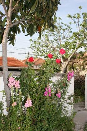 Bedriye Hanım Konağı Guest House - Görsel 7