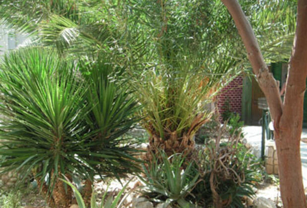 Club Pearl Torba - Görsel 3