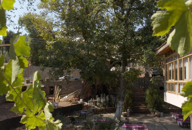 Çınaraltı Pansiyon - Görsel 3