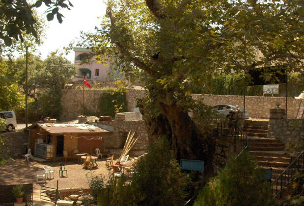 Çınaraltı Pansiyon - Görsel 14