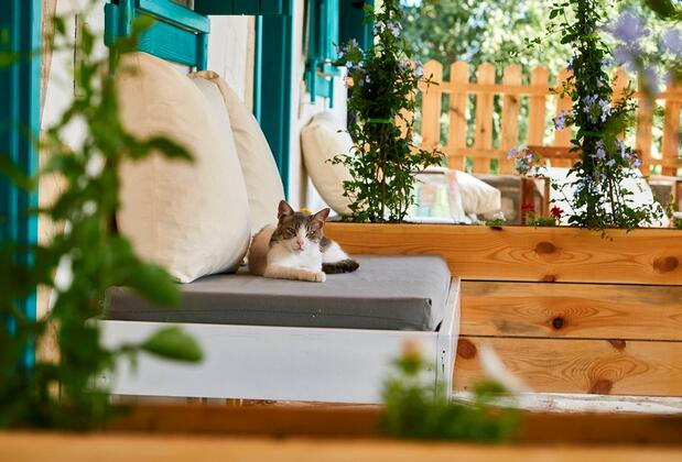 Koop Suites Eski Datça - Görsel 23