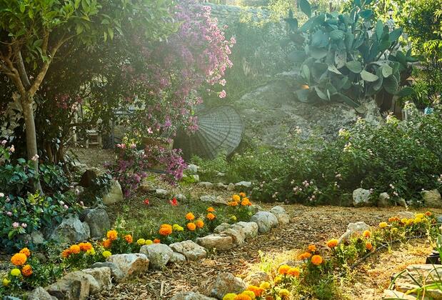 Koop Suites Eski Datça - Görsel 15