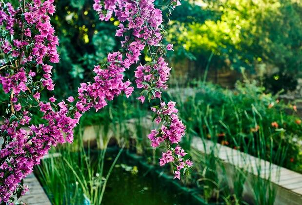 Koop Suites Eski Datça - Görsel 11