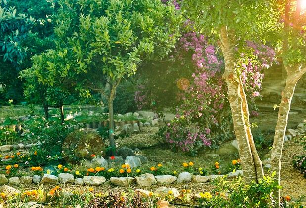 Koop Suites Eski Datça - Görsel 25