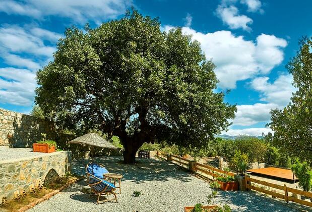 Koop Suites Eski Datça - Görsel 16