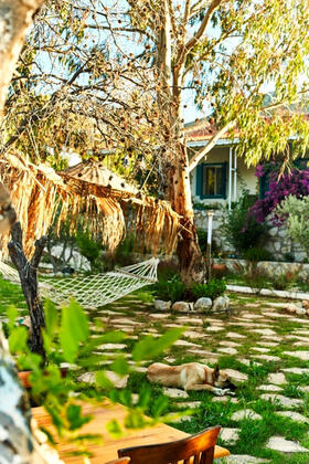 Koop Suites Eski Datça - Görsel 5