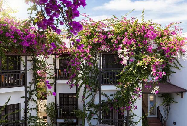 Orion Hotel - Görsel 16