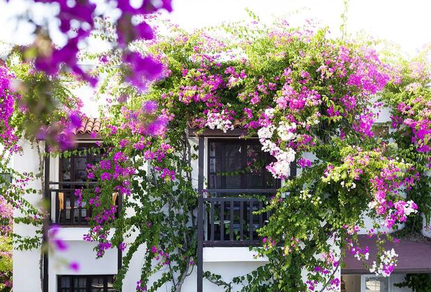 Orion Hotel - Görsel 24