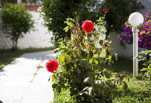 Orion Hotel - Görsel 23