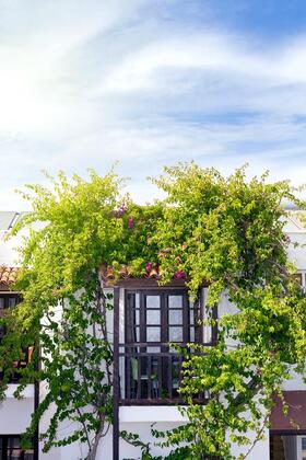 Orion Hotel - Görsel 27