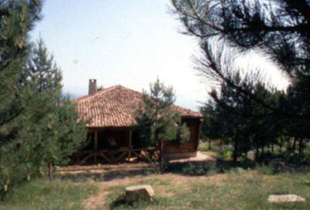 Salıcı Evi - Görsel 4