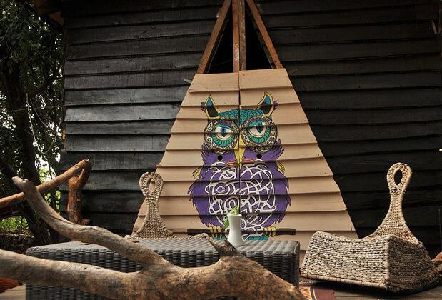 Cadı Kamp - Görsel 5