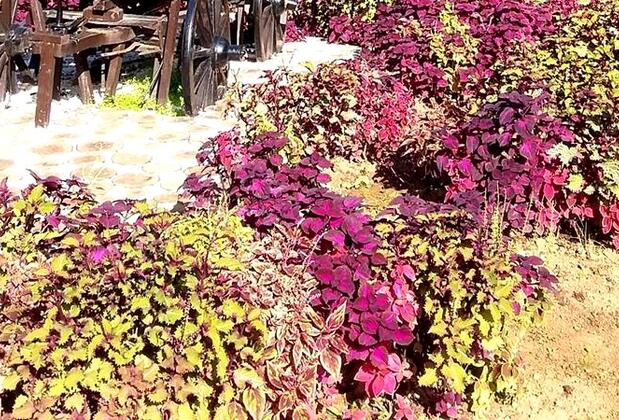 Zağnos Apartment - Görsel 5