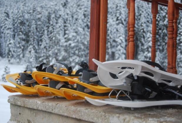 İksir Ballıdağ Dag Evi - Görsel 3