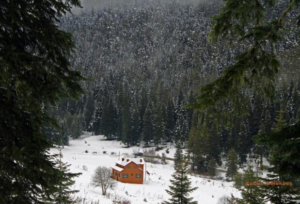 İksir Ballıdağ Dag Evi - Görsel 14