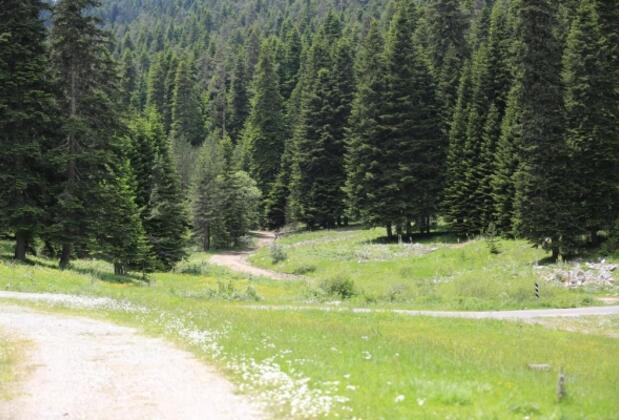 İksir Ballıdağ Dag Evi - Görsel 19