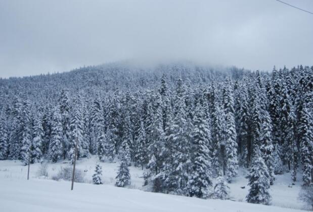 İksir Ballıdağ Dag Evi - Görsel 20