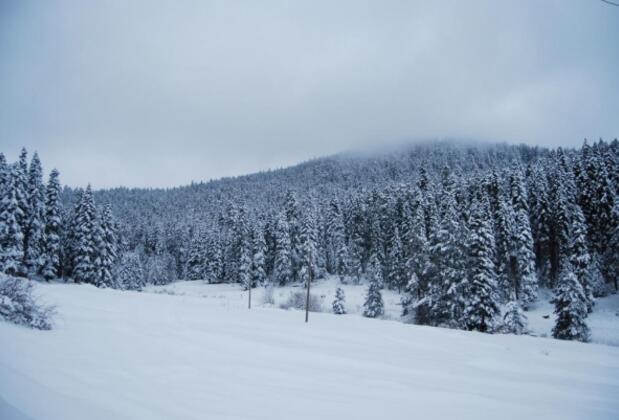 İksir Ballıdağ Dag Evi - Görsel 23