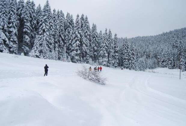 İksir Ballıdağ Dag Evi - Görsel 8