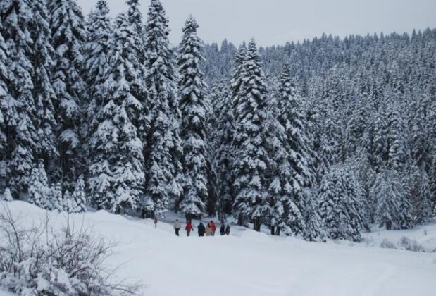 İksir Ballıdağ Dag Evi - Görsel 25