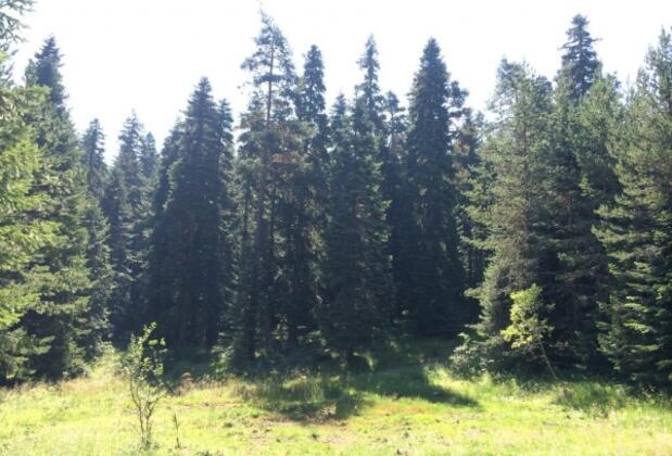 İksir Ballıdağ Dag Evi - Görsel 26