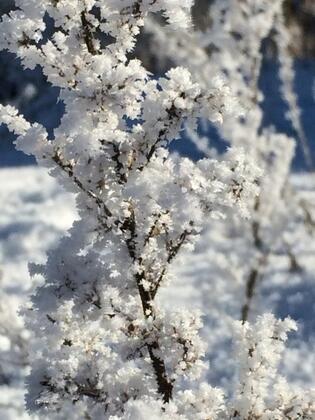 İksir Ballıdağ Dag Evi - Görsel 24
