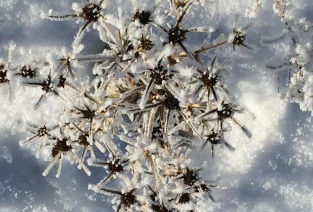 İksir Ballıdağ Dag Evi - Görsel 6