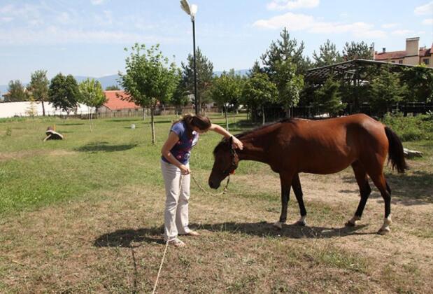 1943 Tarihi Emniyet Otel - Görsel 7