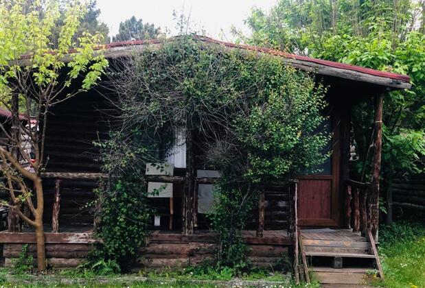 Bungalow Koyu - Görsel 23