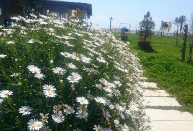 Deniz Hotel Finike - Görsel 10