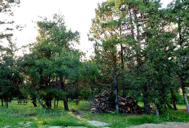 Villa Uzay - Görsel 7