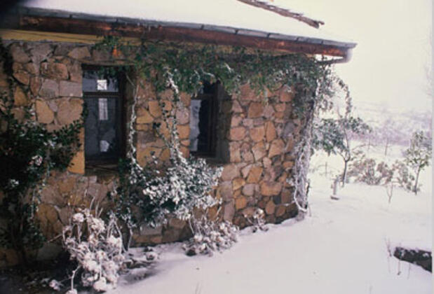 Thuya Ekoçiftlik - Görsel 2