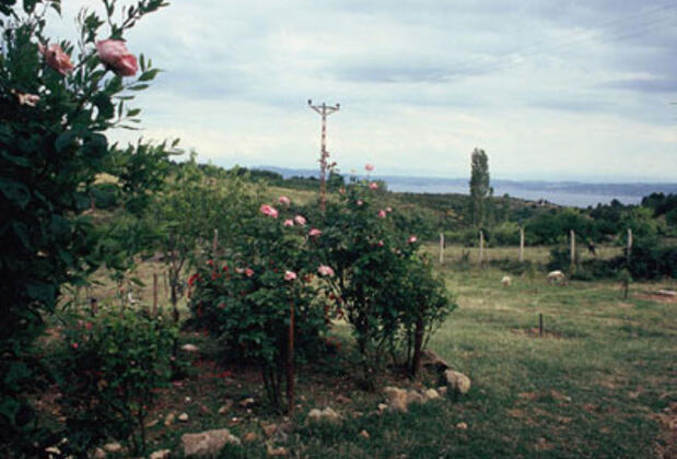 Thuya Ekoçiftlik - Görsel 3