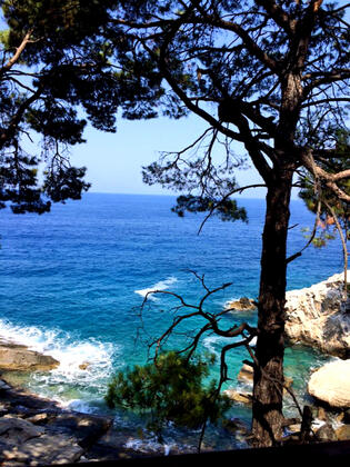 Aktaş Beach Camping - Görsel 11